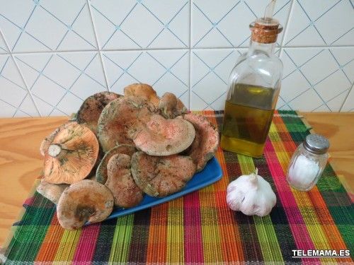 Ingredientes.