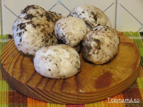 Champiñones.