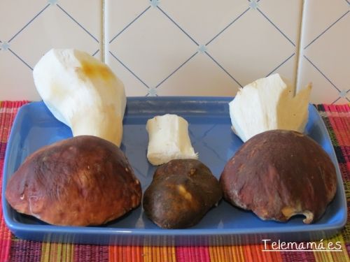 Separamos el tronco del sombrero.