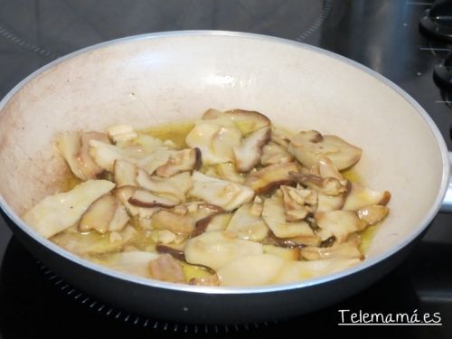 Boletus.