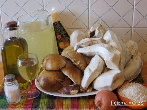 Ingredientes de nuestra receta.