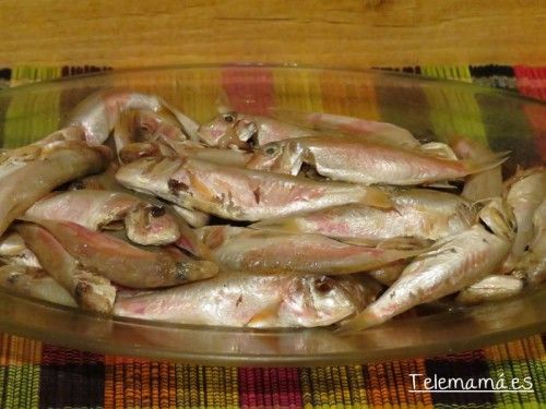 Salmonetes.