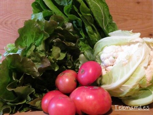 Parte de la huerta en casa.